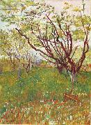 Cherry Tree Vincent Van Gogh